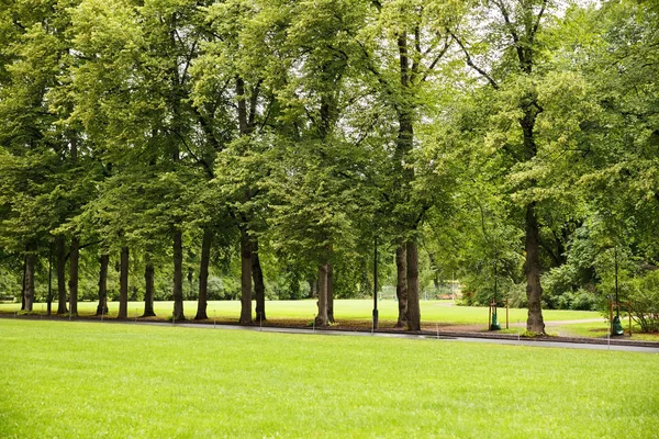 Arbres Dans Parc Oslo Norvège — Photo