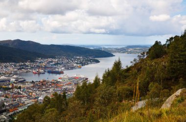 Bergen City Norveç'te Üstten Görünüm.