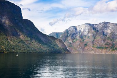 Naeroyfjord ve Norveç'te yüksek dağ manzara.