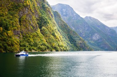 Naeroyfjord ve Norveç'te yüksek dağ manzara.