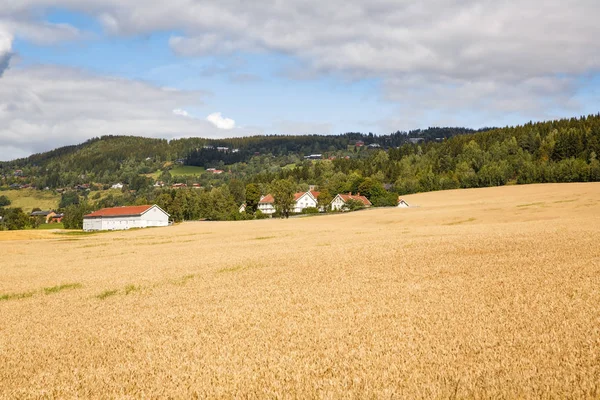 村およびノルウェーの空のある風景します — ストック写真