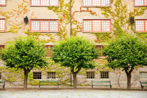 Gebäude Bänke Und Bäume Nordischen Volkskundemuseum — Stockfoto
