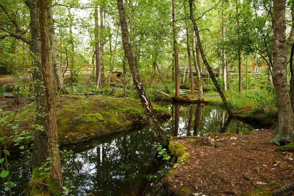 Cena Rural Skansen Primeiro Museu Livre Zoológico Localizado Ilha Djurgarden — Fotografia de Stock