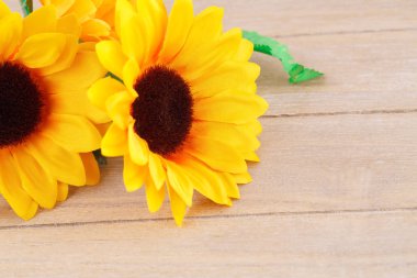 Ahşap zemin üzerine sarı kumaş papatyalar.