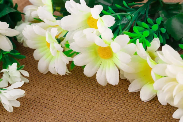 Marguerites Tissu Blanc Sur Fond Toile Image Rapprochée — Photo