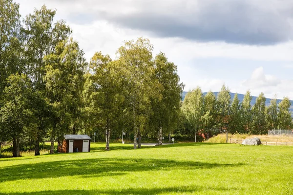 Пейзаж Деревьями Газоном Небом Норвегии — стоковое фото