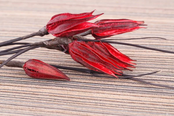 Flores Rojas Secas Sobre Fondo Tela Rayada — Foto de Stock