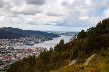 Bergen City Norveç'te Üstten Görünüm.