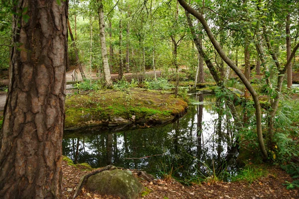 Skansen Ilk Açık Hava Müzesi Ada Djurgarden Stokholm Sveç Bulunan — Stok fotoğraf