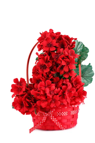 Kwiaty Czerwone Tkaniny Wiklinowym Koszu Białym Tle — Zdjęcie stockowe