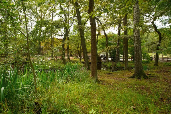 Cena Rural Skansen Primeiro Museu Livre Zoológico Localizado Ilha Djurgarden — Fotografia de Stock