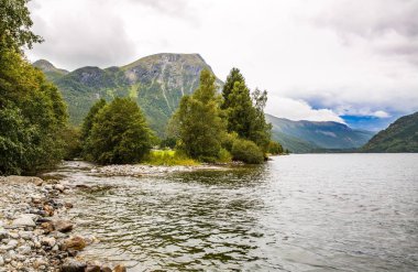 Dağlar, göl ve orman Norveç'te manzara.