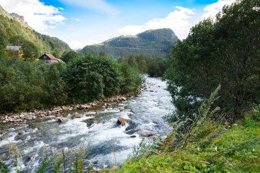 Dağ nehir ve orman Norveç'te.