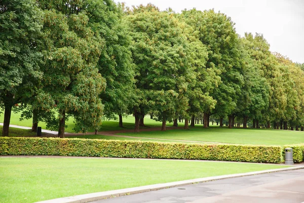 Arbres Dans Parc Oslo Norvège — Photo