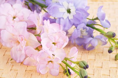 Bambu zemin, portre resim üzerine pembe kumaş çiçekler.