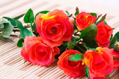 Renkli kumaş gül kumaş arka plan, portre resim üzerinde.