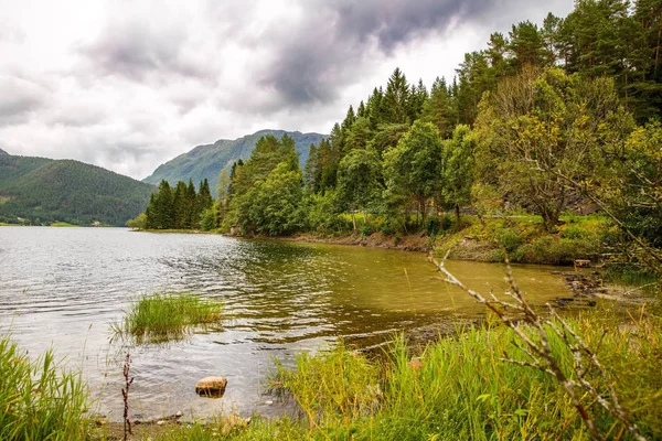 风景与山 森林和湖在挪威 — 图库照片