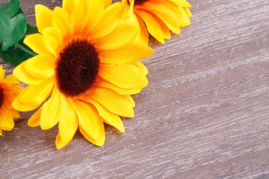 Ahşap zemin üzerine sarı kumaş papatyalar.