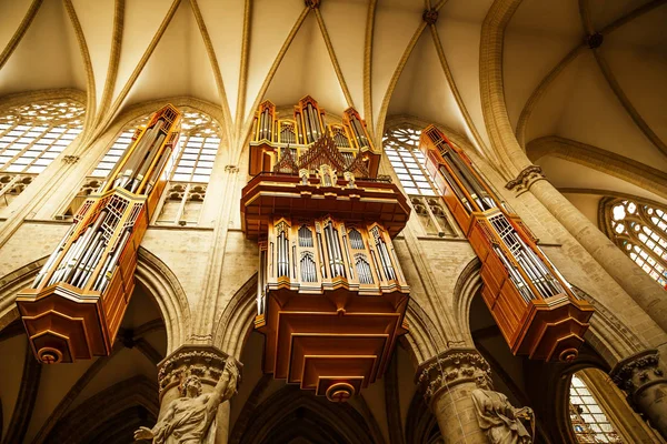 Orgue Pipe Dans Cathédrale Saint Michel Sainte Gudula Bruxelles Belgique — Photo