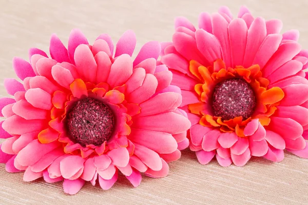 Marguerites Tissu Rose Sur Fond Tissu Beige — Photo