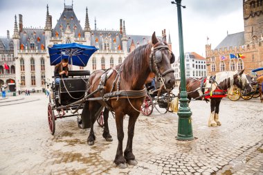 Bruges, Belçika-Ağustos 15, Brugge tarihi kesiminde Pazar Meydanı'nda turistler için bekleyen 2015-atlı arabaları.