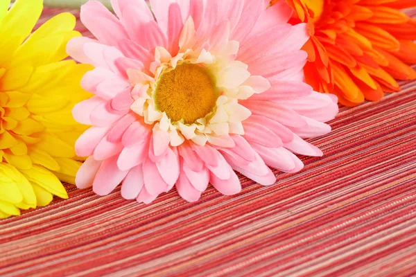 Bunte Stoff Gänseblümchen Auf Stoff Hintergrund Nahaufnahme Bild — Stockfoto