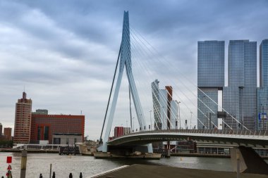 Rotterdam, Hollanda - 16 Ağustos - Erasmus Köprüsü Maas nehri ve modern binalar görünümü. 