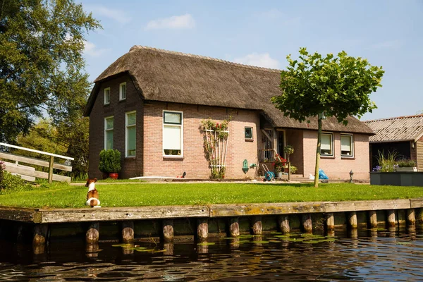 Das Reetgedeckte Dachhaus Mit Schönem Garten Märchenhaftem Dorf Giethoorn Den — Stockfoto