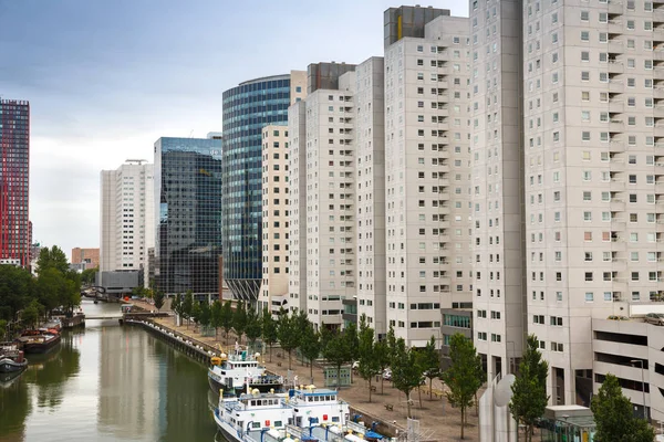 Rotterdam Niederlande August Moderne Gebäude Und Flussblick Von Oben — Stockfoto