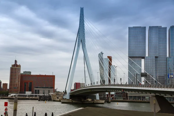 Rotterdam, Hollanda - 16 Ağustos - Erasmus Köprüsü Maas nehri ve modern binalar görünümü. 