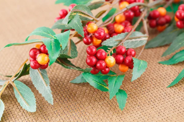 Plantas Tela Con Bayas Sobre Fondo Bambú — Foto de Stock