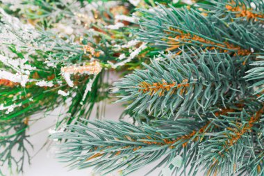 Noel dekorasyon köknar ağacı dalı ile.