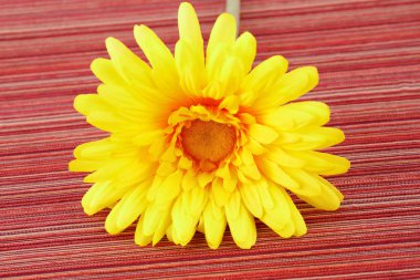 Çizgili Kumaş zemin üzerine sarı kumaş papatya.