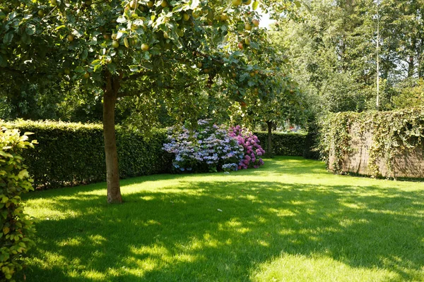 Trädgården Med Färgglada Blommor Och Äppelträd Giethoorn Nederländerna — Stockfoto