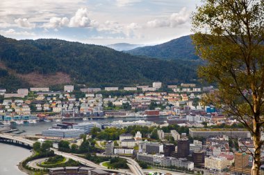 Bergen City Norveç'te Üstten Görünüm.