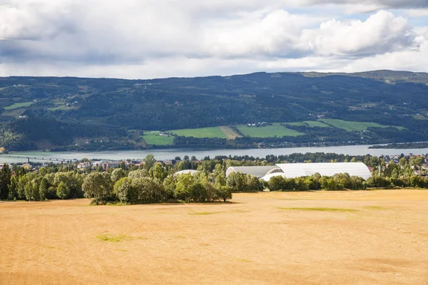 Paysage Avec Champ Blé Arbres Village Norvège — Photo