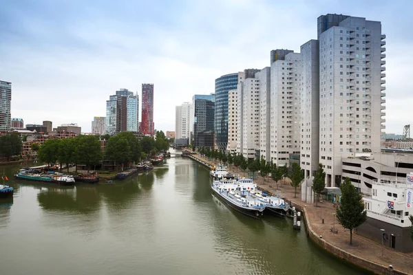 Rotterdam Niederlande August Moderne Gebäude Und Flussblick Von Oben — Stockfoto