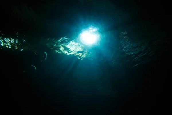 Подводная Сцена Солнечными Лучами Рыбой — стоковое фото
