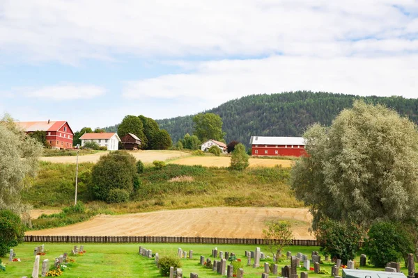 Heddal Norge Augusti 2014 Old Cemetery Norska Nära Den Gamla — Stockfoto