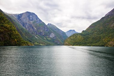 Naeroyfjord ve Norveç'te yüksek dağ manzara.