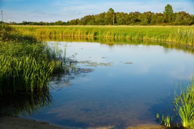 Güzel manzara nehir, çayır ve orman Rusya.