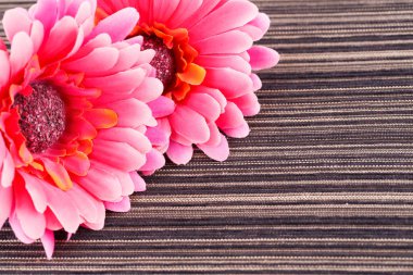 Çizgili arka plan üzerinde pembe kumaş papatyalar.