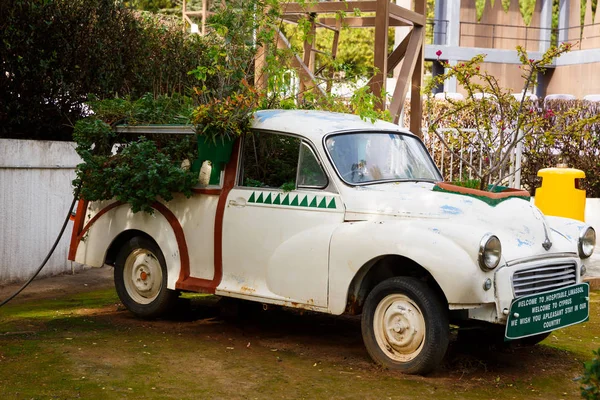 Λεμεσός Κύπρος Φεβρουαρίου 2016 Morris Μικράς Αυτοκίνητο Διαφορετικά Φυτά Στο — Φωτογραφία Αρχείου