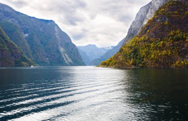 Naeroyfjord ve Norveç'te yüksek dağ manzara.