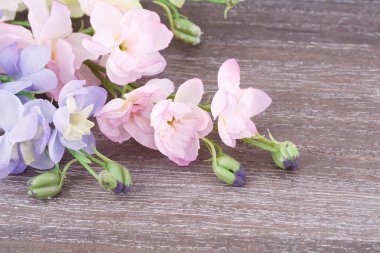 Ahşap zemin, portre resim üzerine renkli kumaş çiçekler.