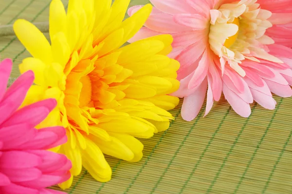 Colorful Fabric Daisies Bamboo Background Closeup Picture — Stock Photo, Image