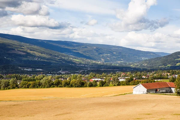 Buğday Alan Dağlar Norveç Köyü Manzara — Stok fotoğraf