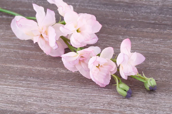 Fleurs Artificielles Roses Sur Fond Bois Image Rapprochée — Photo