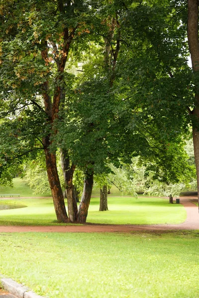 Parc Palais Royal Oslo Norvège — Photo