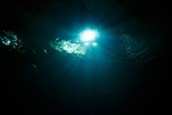 Подводная Сцена Солнечными Лучами Рыбой — стоковое фото